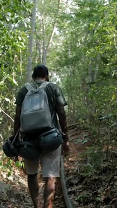 Découvrez Madagascar comme jamais auparavant avec Anjajavy le lodge - Relais & Châteaux, un lieu où nature, culture et luxe se rencontrent. Entre plages préservées, rencontres avec une faune rare et immersion culturelle, chaque expérience est unique dans un cadre à couper le souffle. Vivez le meilleur de Madagascar en un seul lieu à Anjajavy. #therealmadagascar #Anjajavylelodge #Anjajavy #RelaisChateaux | The Real Madagascar