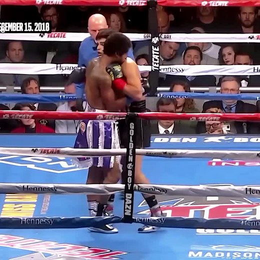 Davis🦍 vs García👑 #boxeo #tok #tik #caneloalvarez🇲🇽 #caneloalvarez🇲🇽 #caneloalvarez #canelo #juliocesar #juliocesarchavez #tankdavis #frank #gervonta #davis #gervontadavis #parati #para #pa #xzyabc #xzyabc #xzb #xzbca #ryan #ryangarcia #boxer #short #entrainement #gervontadavis #davis #tankdavis #davis #latam #boxingday #boxingtok #boxing🥊 #fyp #fyppppppppppppppppppppppp #vira #viraltiktok #virall