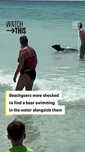 187K views · 592 reactions | Not a shark sighting but a bear? ️ This was the wild scene in Destin, FL, when a black bear shocked beachgoers by joining them for a summertime splash. Video from Chris Barron shows the bear frolicking towards the shore and drawing a crowd as it does so. #florida #bear #beach | NowThis | Facebook