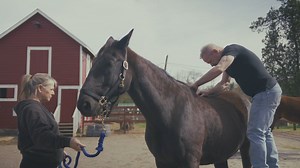 5.7K views · 218 reactions | Animal Cracker on Reels | Facebook