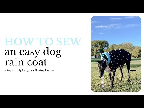 Easy Dog Rain Coat - Lily Longnose Sewing Tutorial
