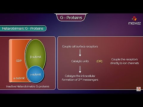 G proteins and G protein coupled receptors - Medical Biochemistry Animation