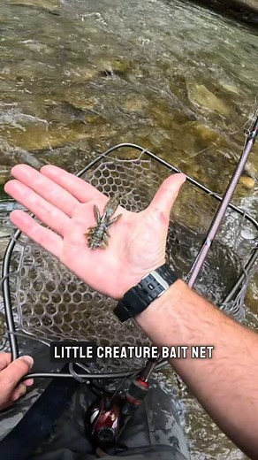 Mike Loughran | Smallmouth love sitting behind stumps and trees in the creeks and rivers. Not only is it a great hiding spot but it also changes the way... | Instagram