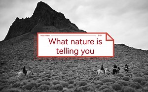 新视野大学英语读写4-Unit4-Text B课文录音及翻译