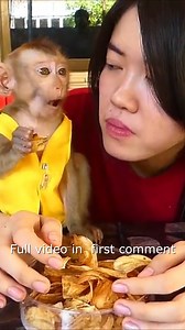 Baby Monkey Dodo Share Fried Banana To Mother3 Full video in Comment ! | Monkey Dodo