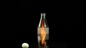 Simple Egg Experiments to do at Home