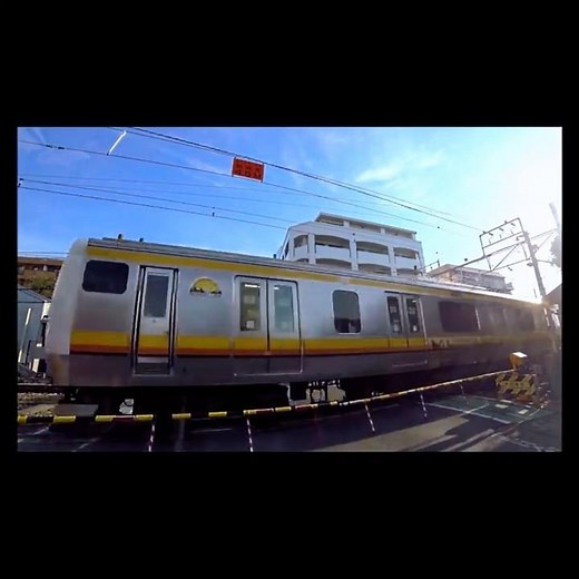 S 0612 JR 南武線 E233系 矢川駅 踏切 adj #shorts