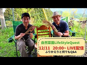 🌿 自然菜園Lifestyle Quest ～自然と共生する仲間たち～🌿第9回配信 🎥 なんでもQ&A