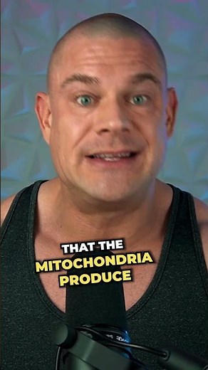 The ULTIMATE "No Stimulants" Fat Burner Stack | SLU-PP-332, Mots-C, Methylene Blue, Cardarine, GC-1