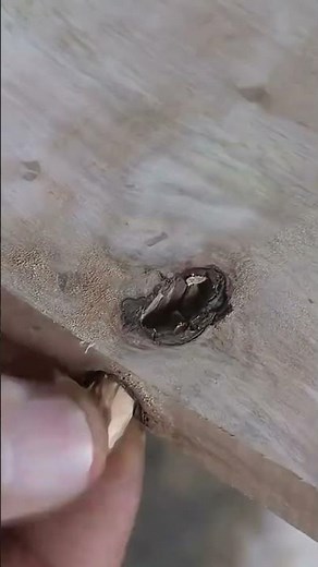 Patching a unique hole in wood with precise repair technique