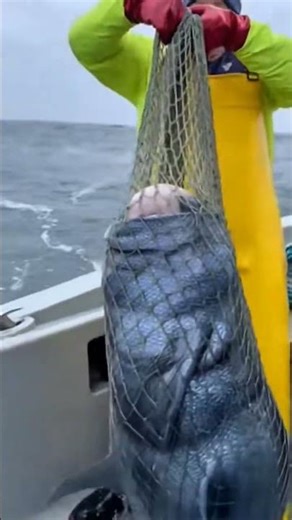 Fisherman’s Net Pulls Up a Terrifying Human-Faced Sea Creature | Shaky Found Footage