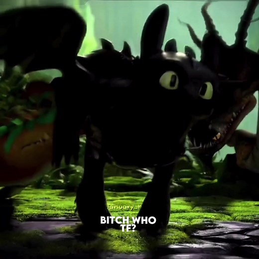 Who tf?? 💞 #toothless #fyp #funny #edits #scenes #httyd #fy #foryou #dragons #viral #moviescene #hiccuphaddock #viraledits #viraledits #bitchwhotf @♡︎𝐴𝑛𝑛𝑖 ♡︎ @