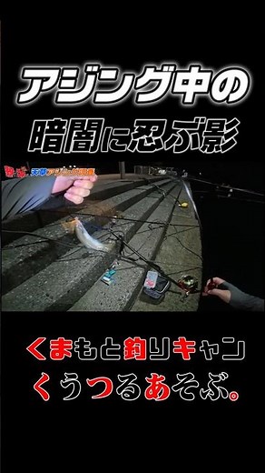 アジング中の悲劇！！