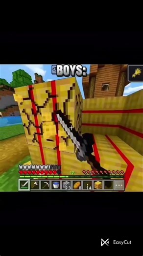 #Girl vs boys minecraft palying