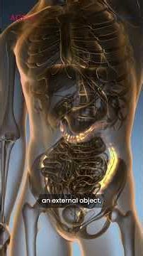 How Aging Affects Digestion and Gut Health | Expert Series with Dr. G.S. Grewal