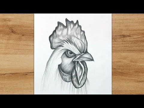 How to Draw a Rooster Head Step by Step | Pencil Drawing For Beginners
