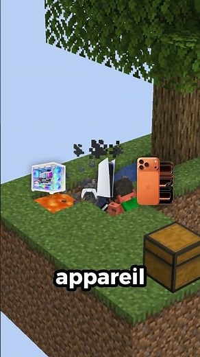 This player has completely transformed their Skyblock island!