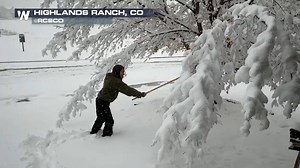 4K views · 84 reactions | HEAVY snow came down across Colorado on Thursday. The moisture packed flakes really weighed down trees and vegetation. Check out how much this branch moves after the snow is knocked off! Scattered snow showers are still possible in the area today. | WeatherNation | Facebook
