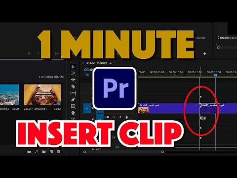 Premiere Pro : How to Insert Clip