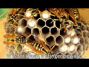 The Bug Boogie ABC Insect Song! 🐞🎶 Learn Bugs A to Z!