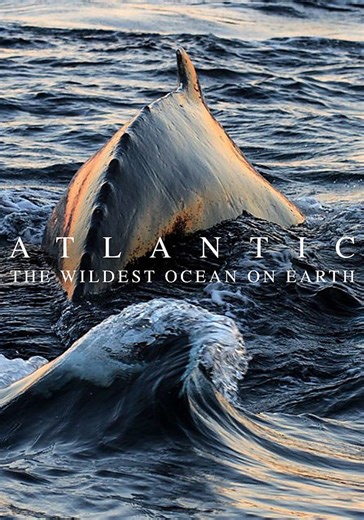 Atlantic: The Wildest Ocean on Earth Temporada 1 - streaming