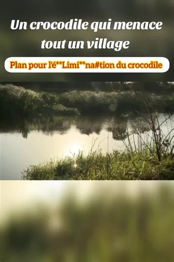 Vidéos de LES-HISTOIRES-DOCS (@leshistoiresdocsfilms) avec son original - LES-HISTOIRES-DOCS