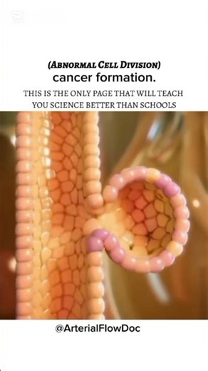 Formation of cancer.