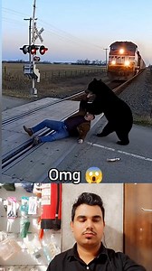 The drunkard drank alcohol and lay down on the tracks, a dog saved his life. #OMG #reels #freedom #viral #trending | Old is gold