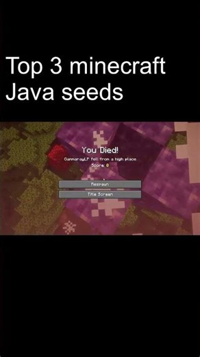 Best minecraft seeds! #minecraft #troll