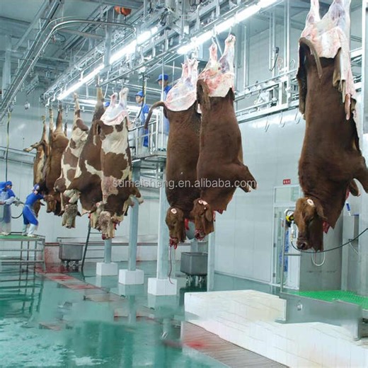 Complete Automatic Cow Slaughter Machine Slaughter House Turnkey Project Halal Cattle Slaughter Line