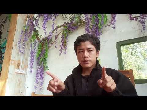 Shy, Anxious, or Traumatized? The Truth No One Tells You