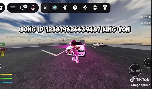 Roblox Street Life Remastered: Best Song IDs