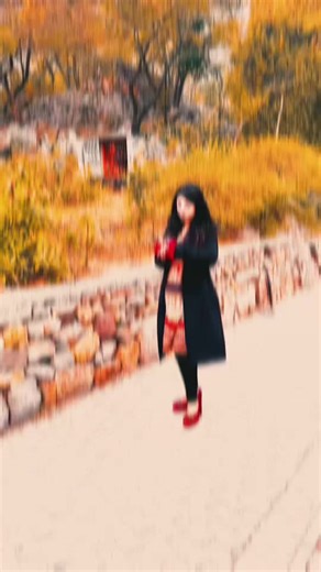 My Outfit Inspiration for Fashion Enthusiasts