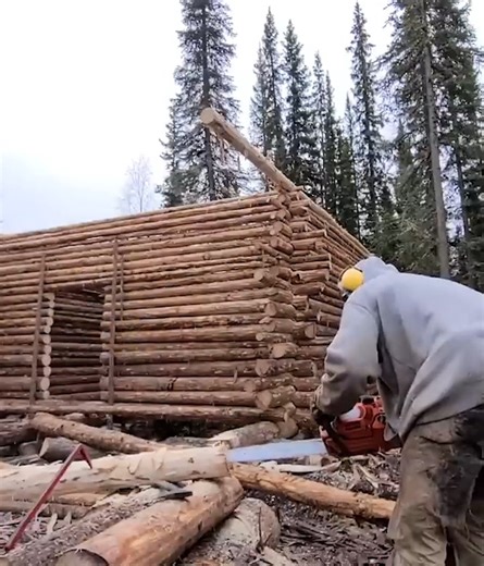 842K views · 10K reactions | Survive two winters in a small, cozy log cabin. Documentary. | Complete Bushcraft | Facebook