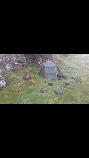 Scottish wanderer on Reels