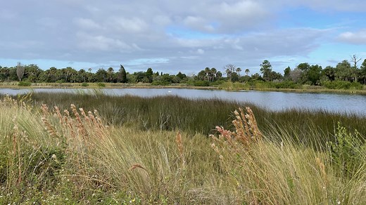 Hiking Bahia Beach Preserve