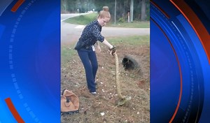 [WATCH] LCSO detective captures 9-foot anaconda