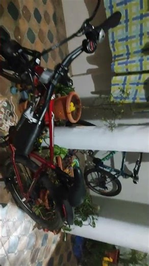e motorad X1