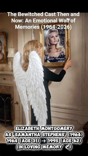The Bewitched Cast Then and Now: An Emotional Wall of Memories (1964-2026)