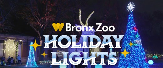 Holiday Lights at the Bronx Zoo