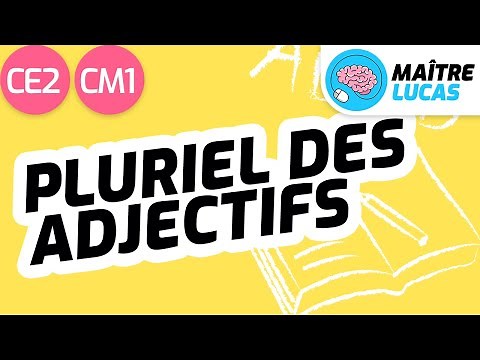 Pluriel des adjectifs CE2 - CM1 - Français - Orthographe