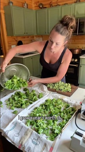 How to Freeze a YEAR’s Worth of Broccoli 🥦! #selfsufficiency #foodpreservation #broccoli