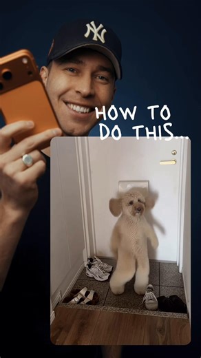 Here’s a quick tutorial on how to turn a simple photo of your pet into this trending dance video ✨🎥 I used the KlingAI app @Kling AI for this 🚀the motion is incredibly smooth, and the dance movements are copied with impressive precision, making the result look natural and lifelike. Kling 2.6 Motion Control also has perfect preset for this. Have fun creating 🐾🫶🏼 #KlingAI #Klingmotioncontrol #KlingAIDance