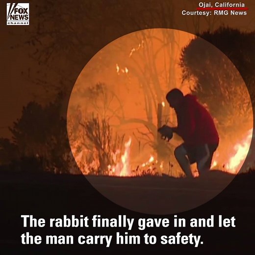 745K views · 10K reactions | Heroic Move: A California man faced the...