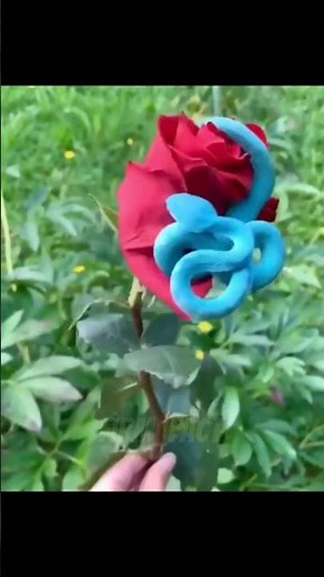 Meet the DEADLY Malayan blue coral snake? #facts #viral #shortvideo #snake