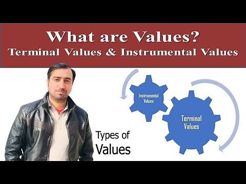 What are Values? Terminal Values and Instrumental Values
