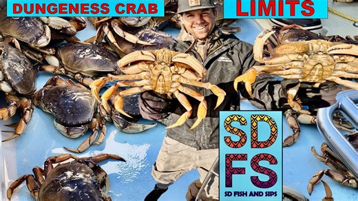 Dungeness crab limits fishing in Monterey Bay, Northern California