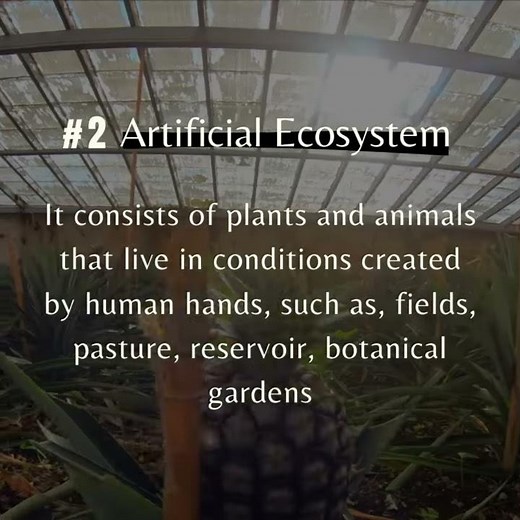 Natural Ecosystems and Artificial Ecosystems