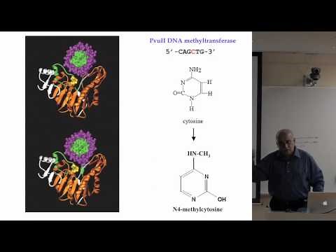 ゲノムメチル化とエピジェネティクスI