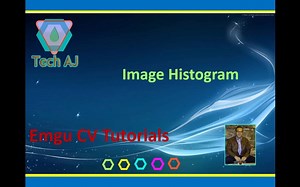 Emgu CV #9_ Image Histogram